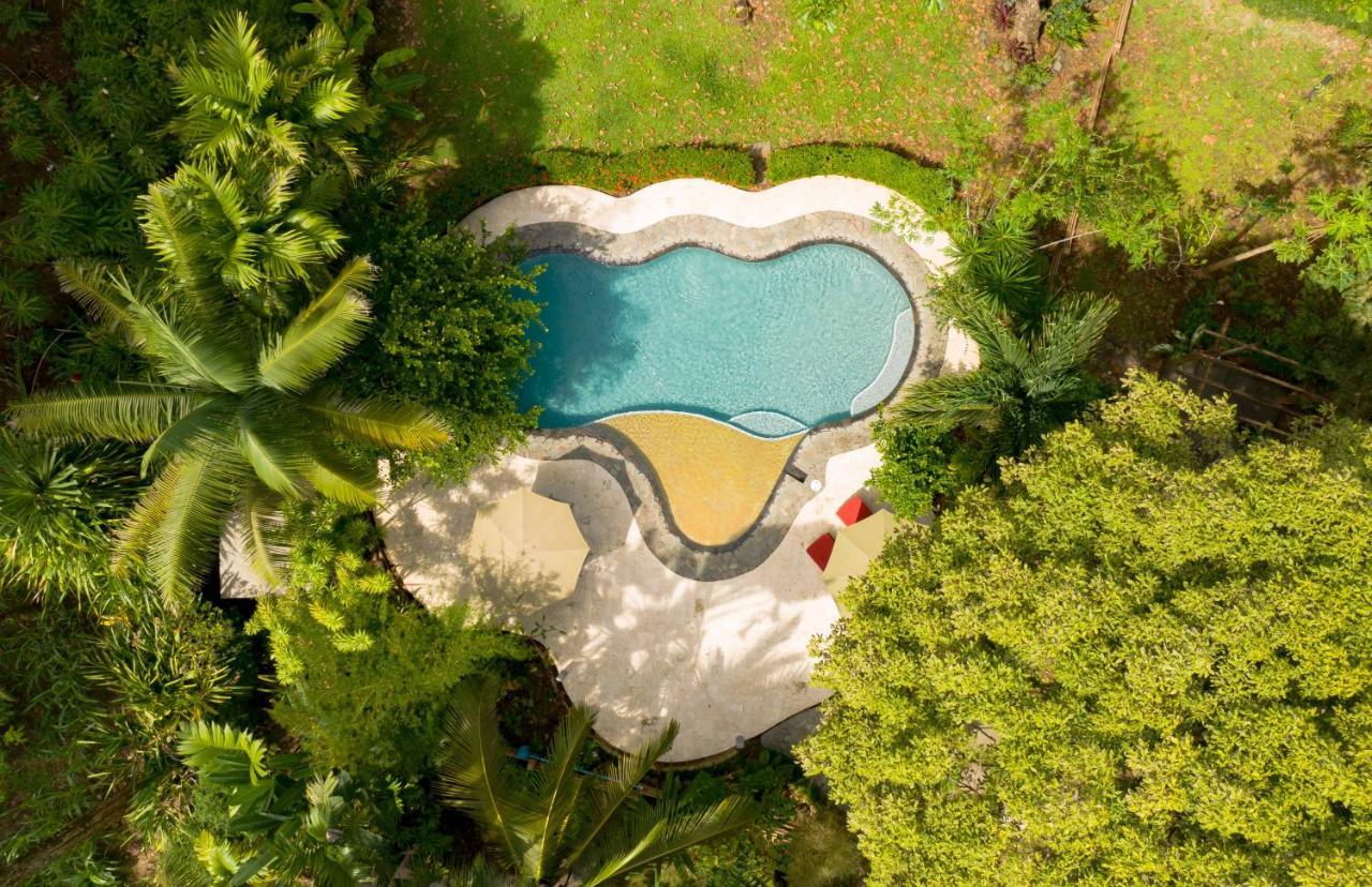 Hotel La Ponderosa Pavones  Zewnętrze zdjęcie