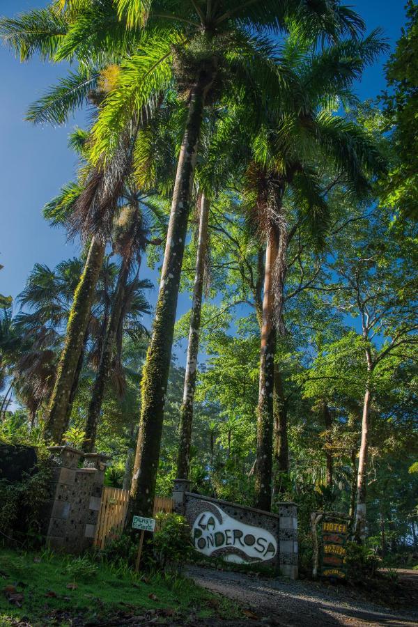 Hotel La Ponderosa Pavones  Zewnętrze zdjęcie