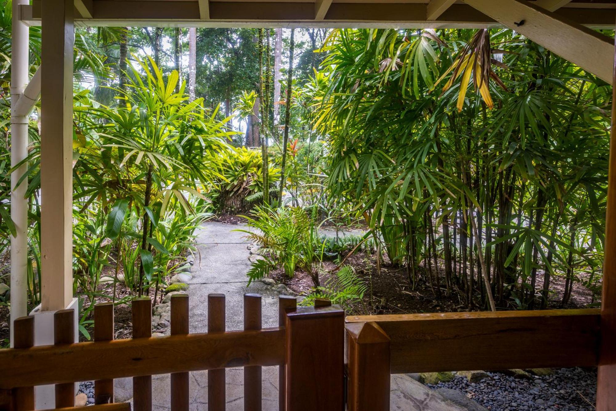 Hotel La Ponderosa Pavones  Pokój zdjęcie